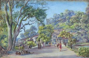 The Bridge And Bazaar, Nynee Tal — Marianne North