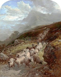Sheep On A Mountainside — William Watson