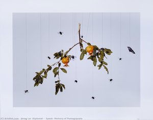 Speak, Memory Of Pomegranate — Hong Lei (diplomat)