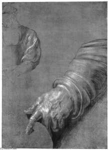 Left Arm — Albrecht Dürer