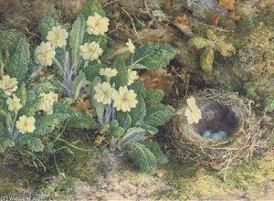 Primulas And A Bird's Nest On A Mossy Bank — William Henry Hunt