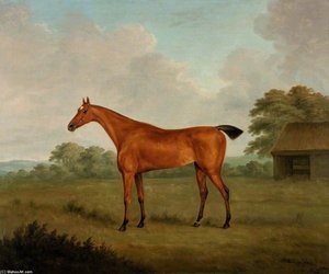 Chestnut Horse In A Landscape — John Nost Sartorius