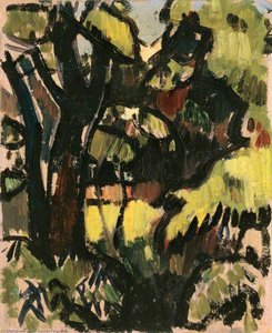 Dark Trees And Foliage