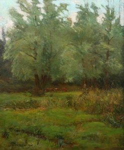 Willows, Cuckoo Mill, Swanpool, Falmouth