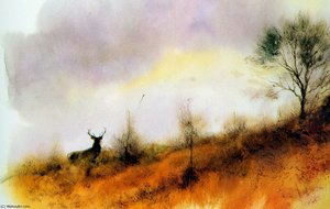 Untitled (421)