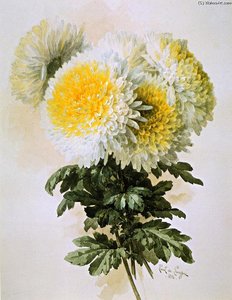 White And Yellow Mums — Raoul De Longpre