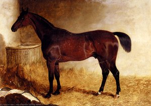 Flexible, A Chestnut Racehorse In A Loose Box — John Frederick Herring Junior