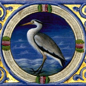 Illumination On Parchment Biblioteca Estense — Taddeo Crivelli