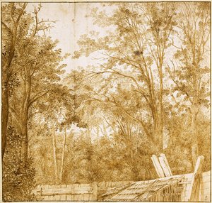 Trees Behind A Wooden Fence, C. 1638-1642 — Cornelis Hendrickszoon Vroom