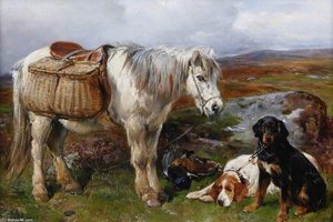 Highland Pony And Dogs