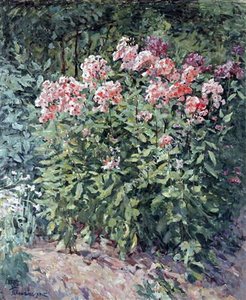 Phlox On Track — Pyotr Konchalovsky