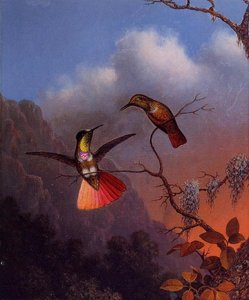 Hooded Visorbearer — Martin Johnson Heade