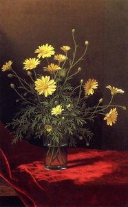 Golden Marguerites — Martin Johnson Heade