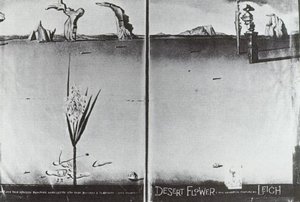 Flower In The Desert — Salvador Dalí
