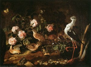 Still-life With An Owl And An Ibis — Paolo Porpora, Baroque Still Life