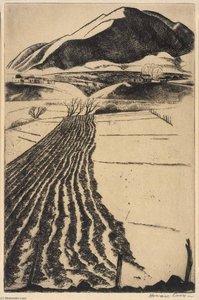 Talpa Furrows — Howard Cook