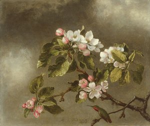 0 — Martin Johnson Heade