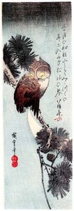 Owl In The Pine And Moon — Ando Hiroshige
