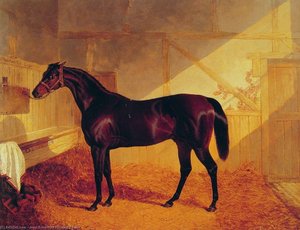 Mr Johnstone's Charles Xii In A Stable — John Frederick Herring Senior