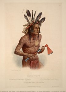 Mato-tope, Adorned With The Insignia Of His Warlike Deeds, Plate 14 From Volume 2 Of 'travels In The Interior Of North America' — Karl Bodmer