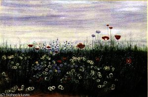 Poppies, Daisies And Other Flowers By The Sea — Andrew Nicholl
