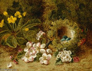Apple Blossoms, A Primrose And Birds Nest — Oliver Clare