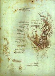Coition Of Hemisected Man And Woman — Leonardo Da Vinci, High Renaissance