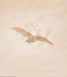 Owl Flying Against A Moonlit Sky — Caspar David Friedrich
