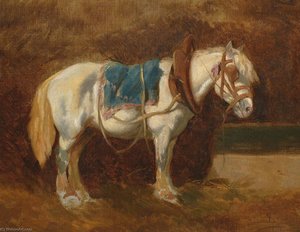 Gesattelter Schimmel, 1850 — Rudolf Koller