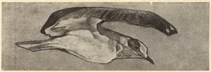 Seagull — Nicholas Roerich
