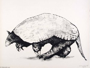 (A Bestiary, portfolio) Armadillo