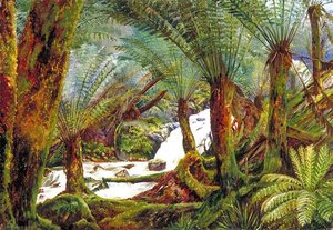 A Natural Fernery In Victoria — Marianne North