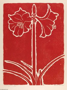Amaryllis