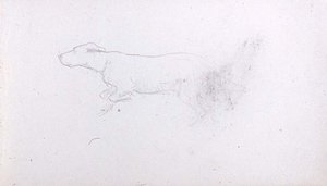 Dog — John La Farge