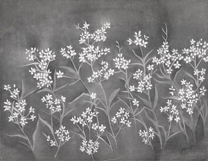 Forget Me Nots