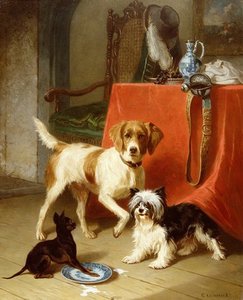 Three Dogs