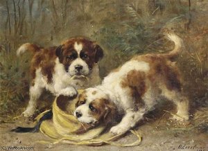 Two Saint-bernard Puppies Playing With A Hat — Otto Eerelman