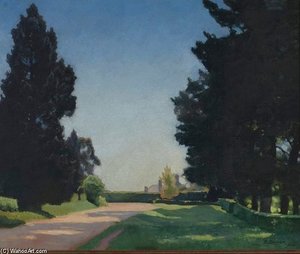 The Pines