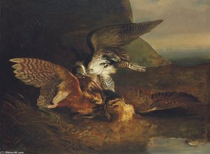 Hawk Killing A Bittern — Sawrey Gilpin