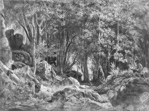 Valaam. Forest On The Rocks — Ivan Ivanovich Shishkin