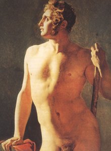 Male Torso — Jean-auguste-dominique Ingres