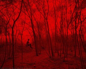 Redscape-4 — Hyung-geun Park