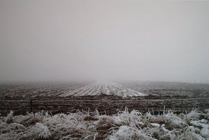 Fallow Field — Grahame Sydney