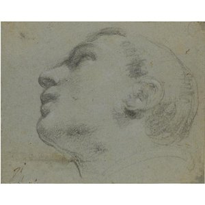 The Head Of A Man Turned To The Left — Guercino