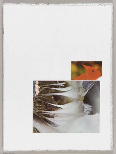 Untitled (christ Child On Blue Cloth Of Unidentified Northern Renaissance Painting) — Joseph Cornell