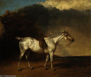 A saddled grey hunter in a landscape