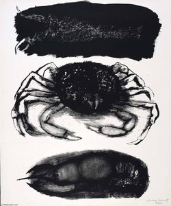 (a Bestiary, Portfolio) Crab And Crayfish — Aubrey Schwartz