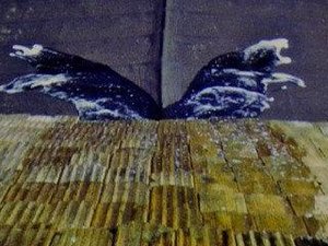 Water — Roman Signer