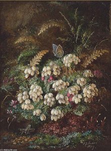 Heather And A Butterfly; And Primulas And Violas — Albrecht Dürer