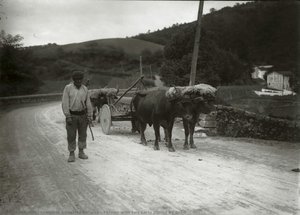 Farmer With Two Carts Pulled By Oxen — Gregorio Gonzalez Galarza